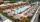 resort style pool