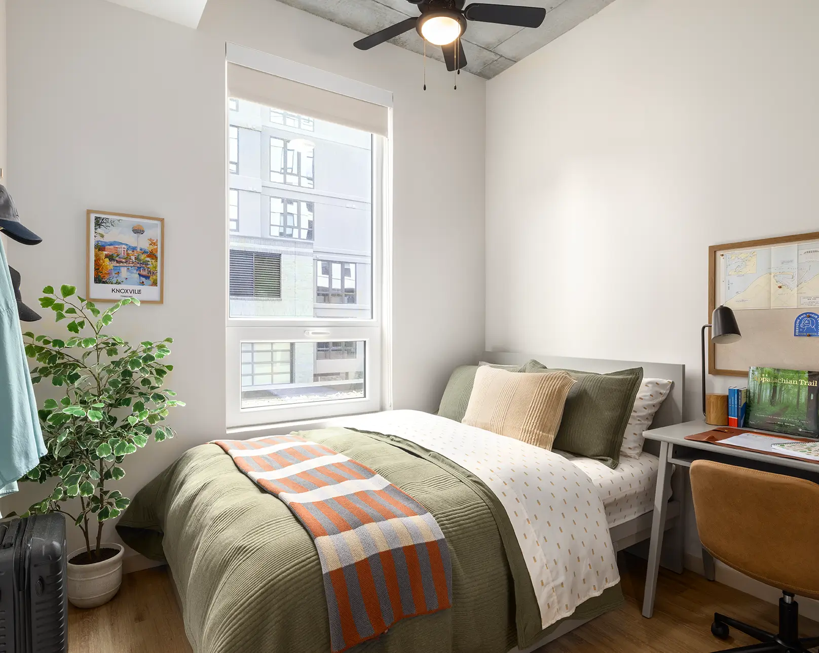 furnished apartment living space