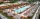 resort style pool