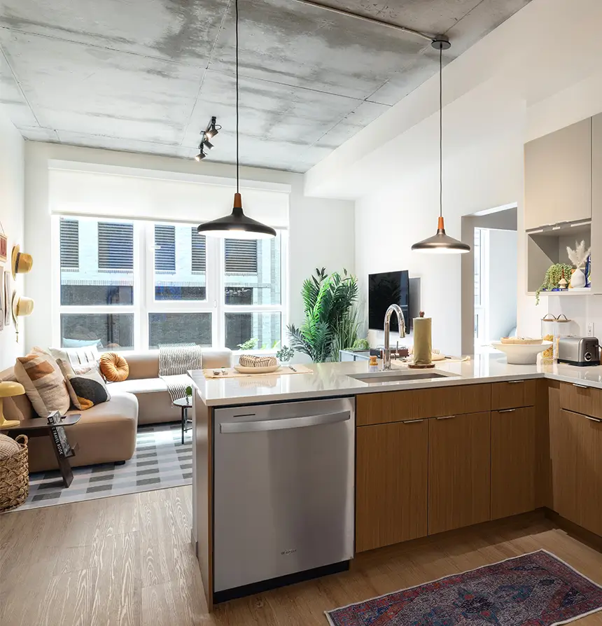 furnished apartment living space